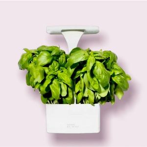 Short Stories LED Indoor Planter *Grow Herbs* NEW